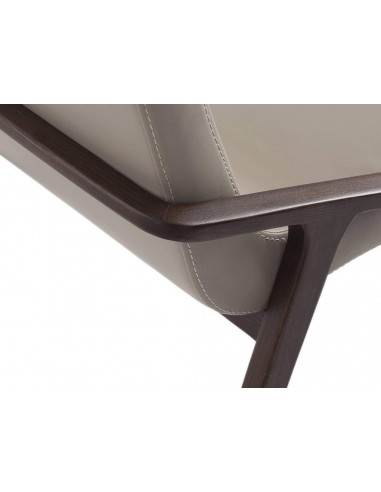 Cadeira de design de parede, taupe de couro, nogueira