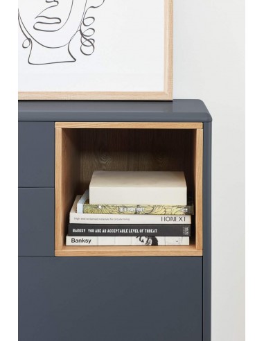 TEULAT COMODA CORVO 90x40, 4 cajones, GRIS...