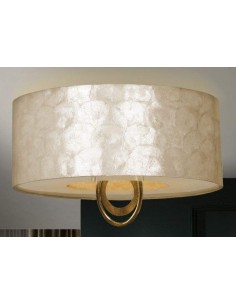 Teto de EDEN Schuller 55 ouro 4L 2