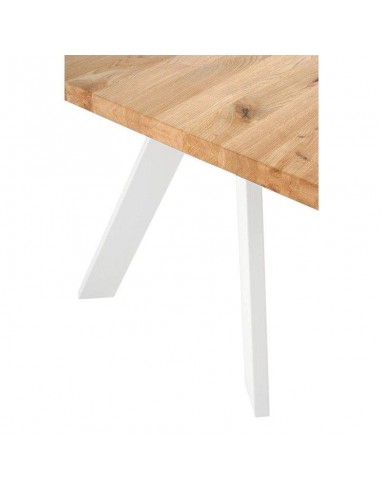 Mesa de diseño industrial LUCINA 180 x 95...