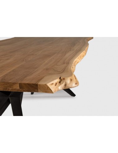 MESA DE JANTAR MUDRI 200 x 100, PERNA METAL...