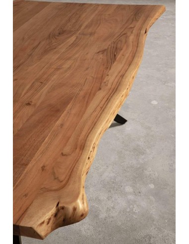 MESA DE JANTAR MUDRI 200 x 100, PERNA METAL...