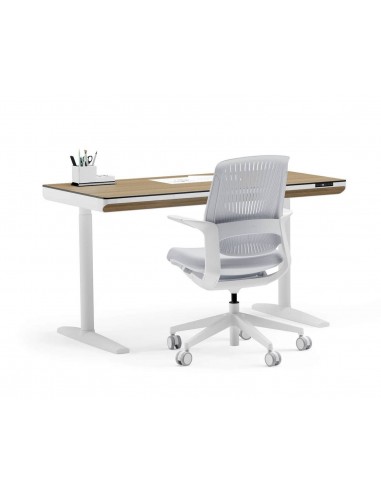 Mesa escritorio elevable WING DUAL MOTOR 140 x...