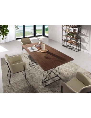 Angel Cerdá 1107. Mesa ACER 200 x 95. Nogal y...