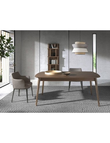 Ángel Cerdá 1100. Mesa extensível GESTA...