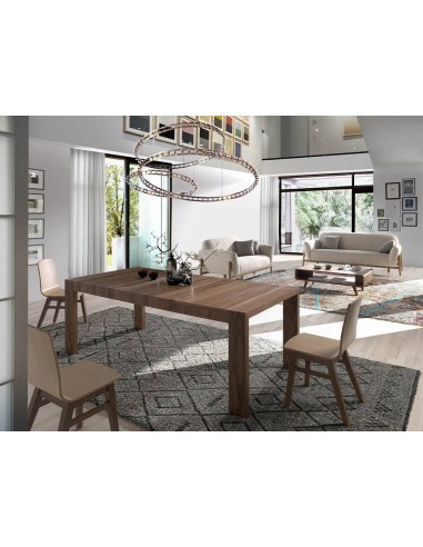 Ángel Cerdá 1012. Mesa extensible NEXT 160(260)...