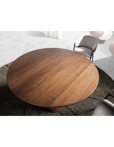 Ángel Cerdá 1081. Mesa redonda extensível...