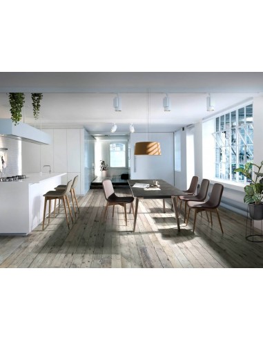 Ángel Cerdá 1026. Mesa extensível RAUW 180(230)...