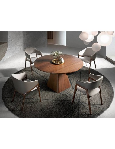 Ángel Cerdá 4090. Cadeira ASWAD com braços...