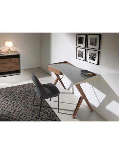 Ángel Cerdá 3018. ESCRITORIO Babylon 120x60...