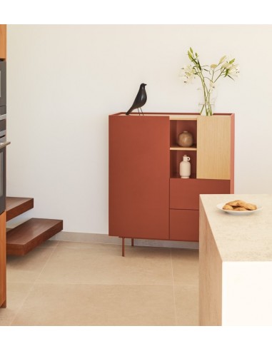 Teulat mueble auxiliar alto OTTO 100 x 40. MDF...