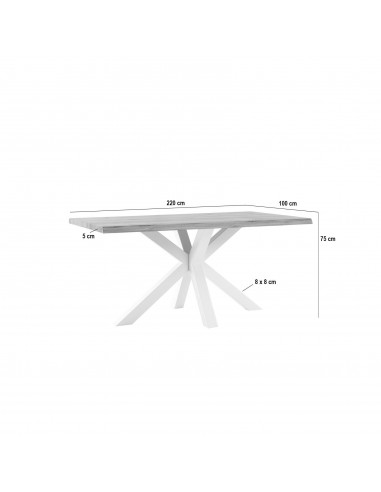 Mesa de design industrial GRACE 220 x 100,...