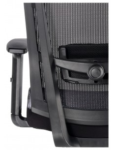 Silla ergonómica de oficina SOFIA, cabecero y brazos... 2