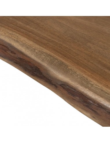 Mesa 10 personas ALAIA 300 x 100, madera de...