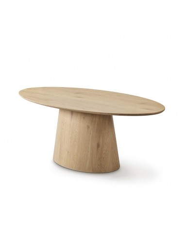 Mesa de comedor ovalada ARTEMIS 200 x 100,...