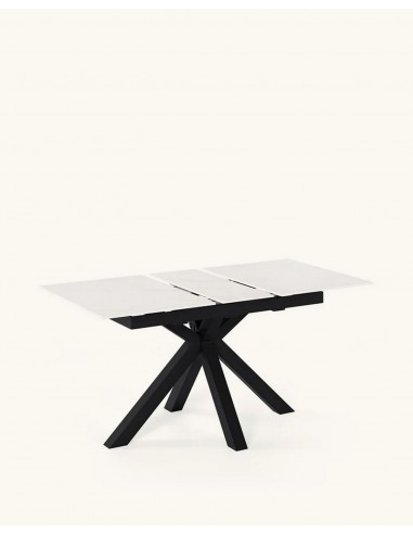 Mesa extensível ARGO 120 (150) x 80,...