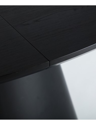 Mesa extensible oval 160(200) x 100 LIZANT, MDF...