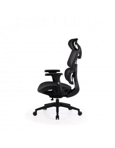 Sillón de oficina ergonómico TORONTO, alto,...