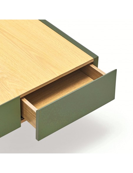 Teulat Mesa de centro Arista 110x60, roble, lacado verde claro.