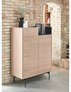 TEULAT MUEBLE AUXILIAR VALLEY 130X92 ROBLE, AZUL 2