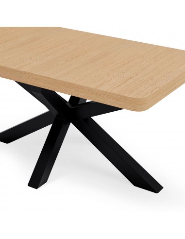 Mesa extensible ARGO 160(220) x 90, roble y...