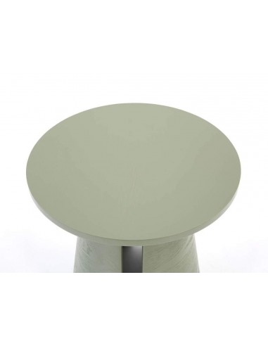 TEULAT MESA RINCON REDONDA CEP 50, FRESNO VERDE