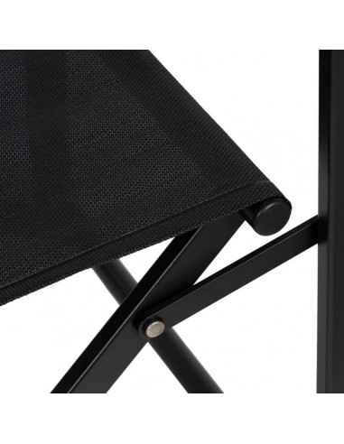 Silla Exterior Plegable DIRECTOR de Aluminio y...