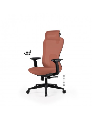 Silla de Oficina Ergonómica PARDUE Regulable de...