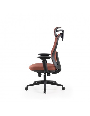 Silla de Oficina Ergonómica PARDUE Regulable de...