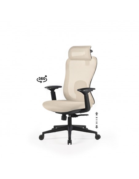 Silla de Oficina Ergonómica PARDUE Regulable de Diseño