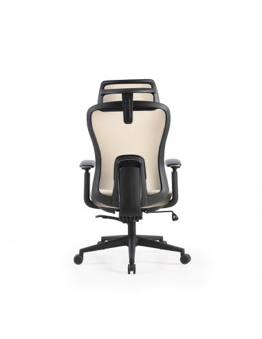 Silla de Oficina Ergonómica PARDUE Regulable de...