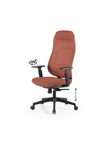 Silla de Oficina Ergonómica COLUMBUS Regulable...