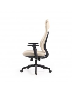 Cadeira de Escritório Ergonómica COLUMBUS Regulável 2