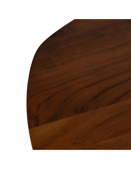 Mesa de Comedor Ovalada ARGO 200x100 Madera de Mango y Hierro