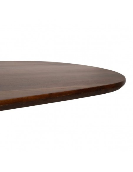 Mesa de Comedor Ovalada ARGO 200x100 Madera de Mango y Hierro