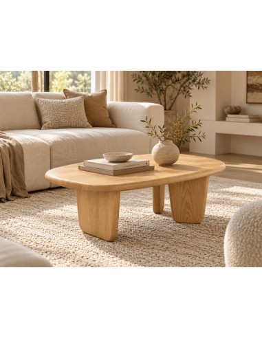 Mesa de centro ELARA 100x60x25 cm em folha de...