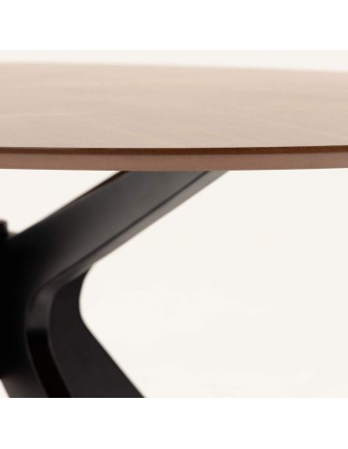 Mesa Naanim 180 x 110 cm acabado nogal.